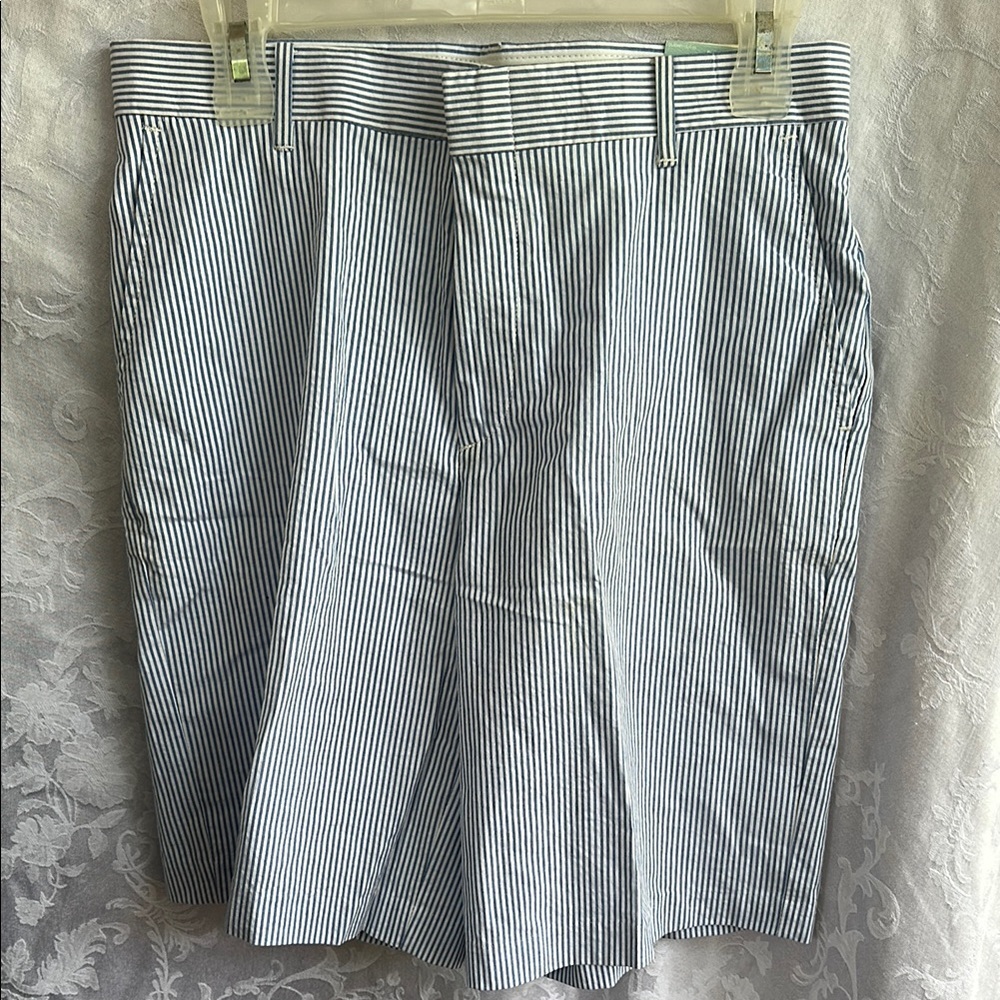 Striped Blue and White Men's Shorts
